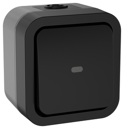 TORS Переключатель однокл. с ин. 10А IP55 TS102 графит IEK