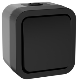 TORS Выключ. двухполюсный однокл. 10А IP55 TS111 графит IEK