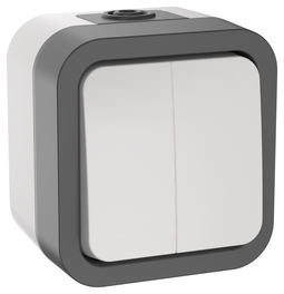 TORS Выключатель двухклавишный 10А IP55 TS205 сер-бел IEK